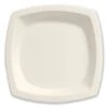 Dart Bare Eco-Forward Ivory Sugarcane Plate, 6 7/10" , 125/Pack 1 Dart Bare Eco-Forward Ivory Sugarcane Plate, 6 7/10" , 125/Pack -Dixie Shop Bare Eco Forward Sugarcane Dinnerware 6 7 10 Plate Ivory 125 Pk 294978 medium
