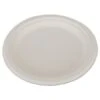 ChampWare Heavyweight White Bagasse Plate, 10", 500/Carton -Dixie Shop ChampWare Heavyweight Bagasse Plate 10 White 500 Carton 292209 medium