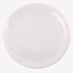 Designerware Clear Plastic Plates, 10 1/4", 144/Carton