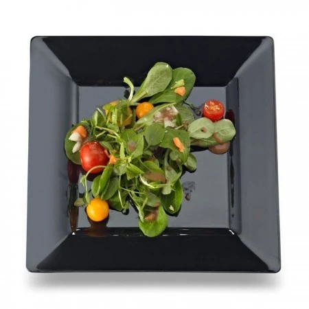 Emi Yoshi EMI-SP8 Square Plastic Salad Plate 8" - 10 Doz 3 Emi Yoshi EMI-SP8 Square Plastic Salad Plate 8" - 10 Doz