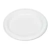 White Plastic Dinnerware Plates, 7", 125/Pack 1 White Plastic Dinnerware Plates, 7", 125/Pack -Dixie Shop Plastic Dinnerware Plates 7 dia White 125 Pack 301063 medium