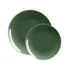 TigerChef Emerald With Gold Rim Plastic Dinner Plate 10-1/4" - 10 Pcs -Dixie Shop TigerChef Emerald with Gold Rim Plastic Dinner Plate 10 25 quot 10 pcs 313013 medium