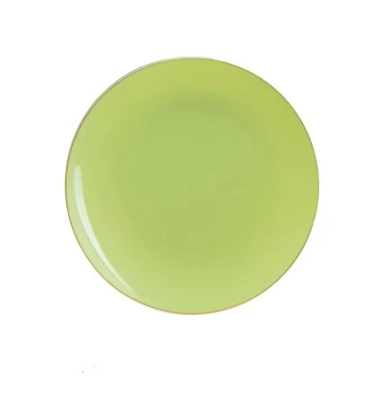TigerChef Lime With Gold Rim Plastic Dinner Plate 10-1/4" - 10 Pcs 3 TigerChef Lime With Gold Rim Plastic Dinner Plate 10-1/4" - 10 Pcs
