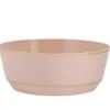 TigerChef Round Blush With Gold Rim Plastic Bowl 14 Oz.- 10 Pcs 2 TigerChef Round Blush With Gold Rim Plastic Bowl 14 Oz.- 10 Pcs -Dixie Shop TigerChef Round Blush with Gold Rim Plastic Bowl 14 oz 10 pcs 313034 medium